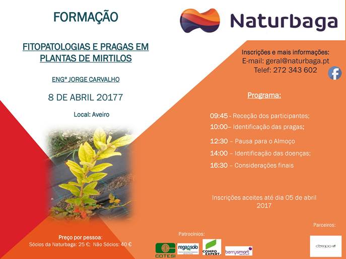 cartaz